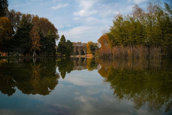 Comparaison : Accouchement naturel vs césarienne