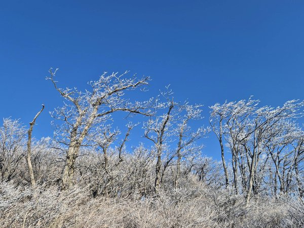 L'influence de la perte auditive sur la qualité de vie des seniors