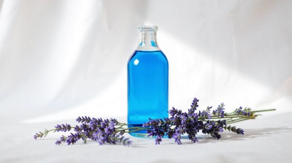 Découvrez les vertus de l'eau de bleuet pour une peau éclatante